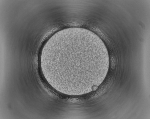 X0000112400634200909251436