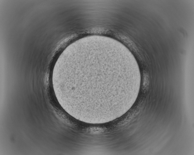 X0000112400636200909251436