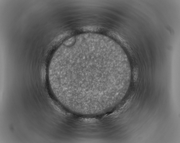 X0000112400637200909251436