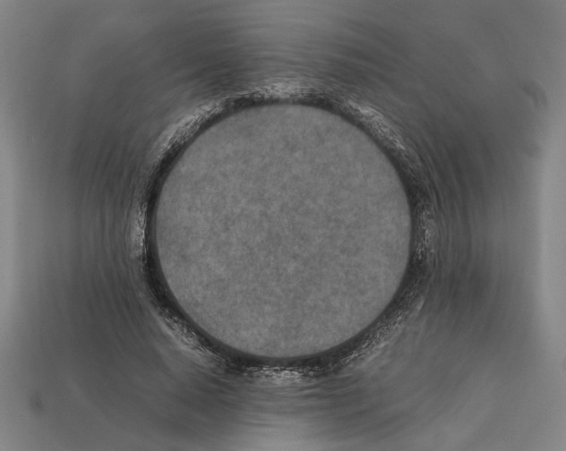 X0000112400640200909251436