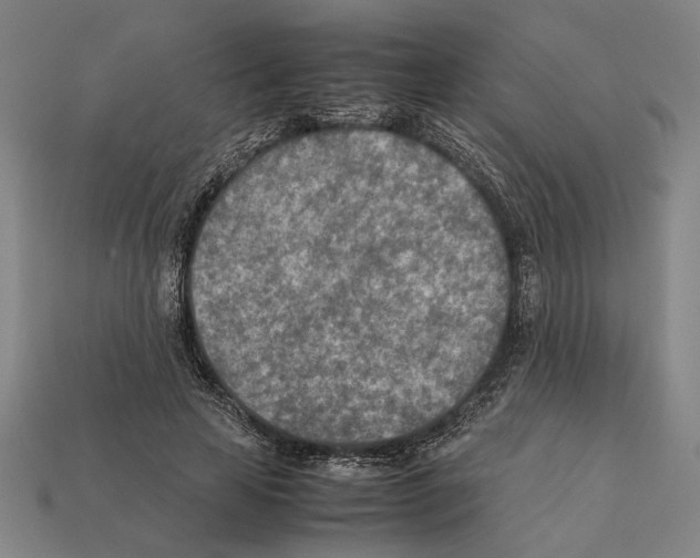 X0000112400641200909251436