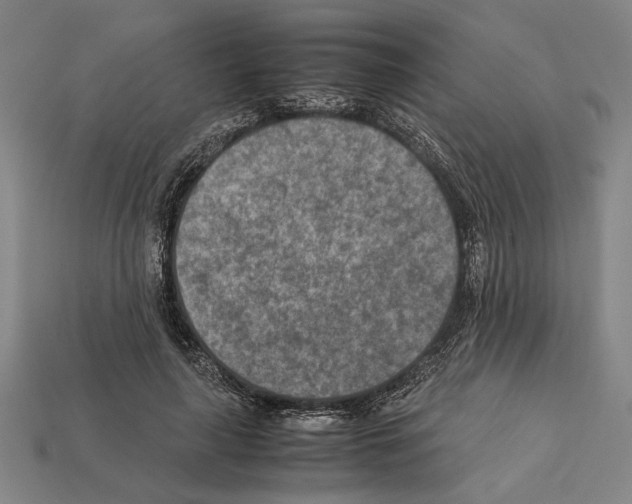 X0000112400643200909251436