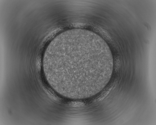 X0000112400644200909251436