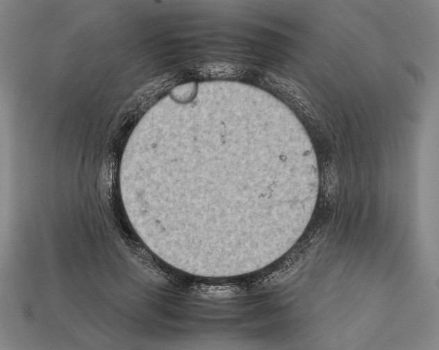 X0000112400645200909251436