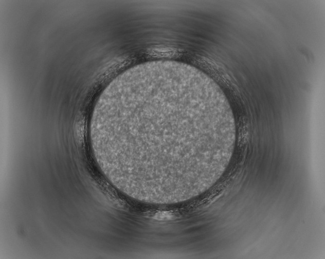 X0000112400647200909251436