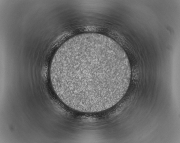 X0000112400648200909251436