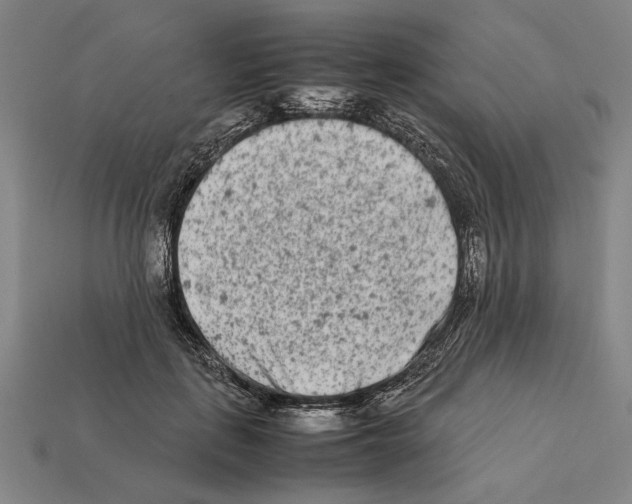 X0000112400651200909251436