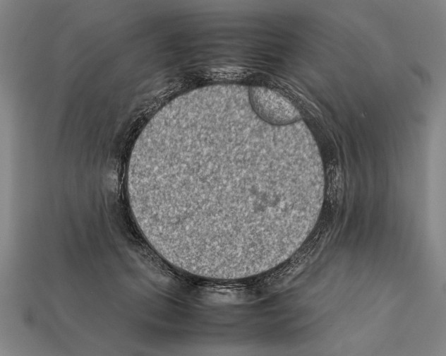 X0000112400655200909251437
