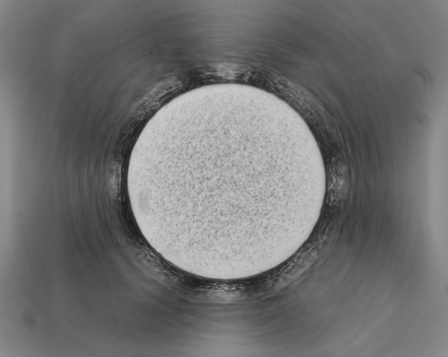 X0000112400656200909251437