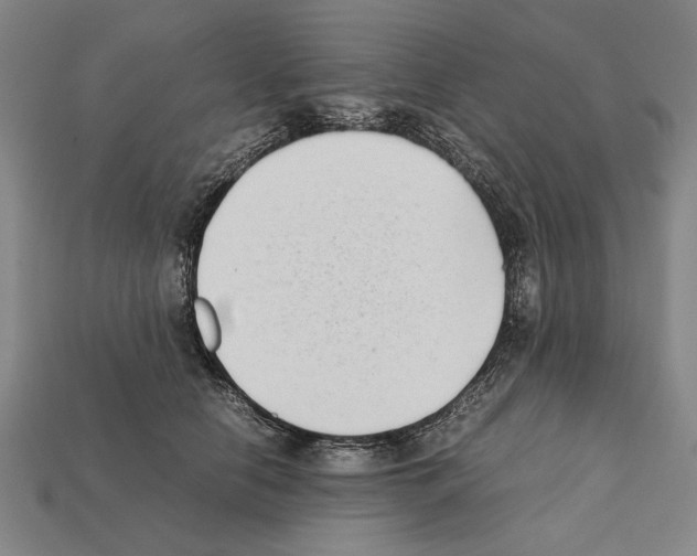 X0000112400658200909251437