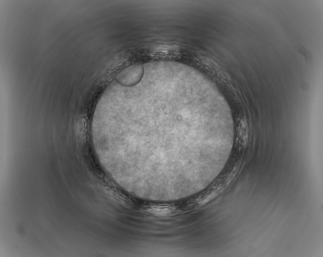 X0000112400659200909251437