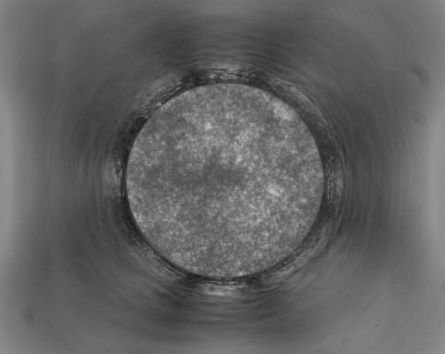 X0000112400661200909251437