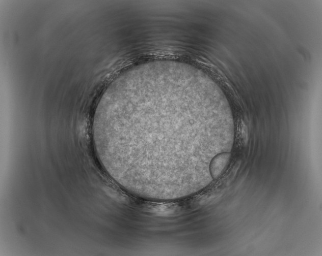 X0000112400663200909251437