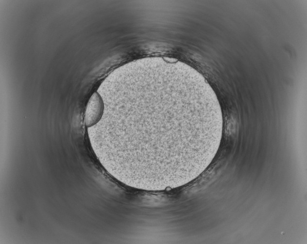 X0000112400666200909251437