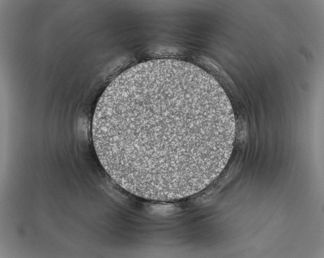X0000112400669200909251437