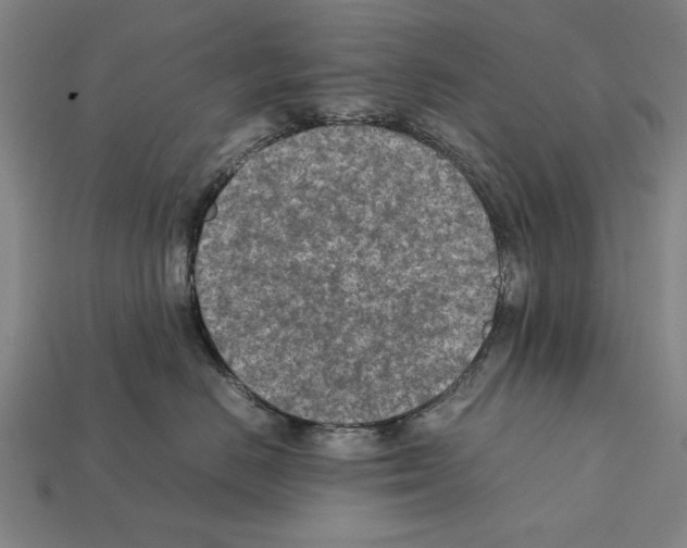 X0000112400670200909251437