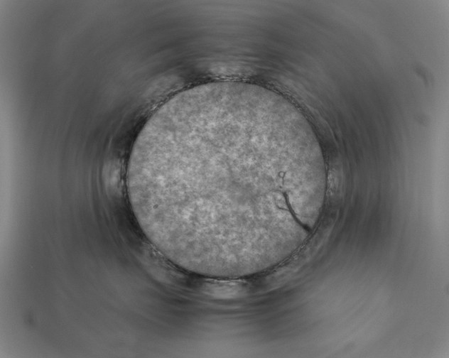 X0000112400671200909251437