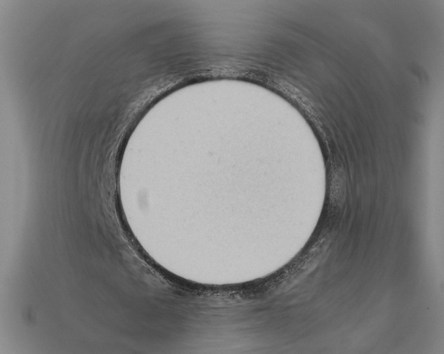 X0000112400673200909251436