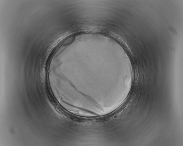 X0000112400674200909251436