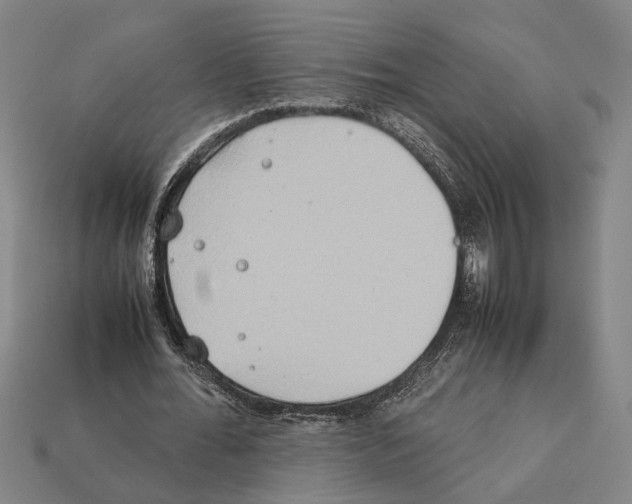 X0000112400676200909251436