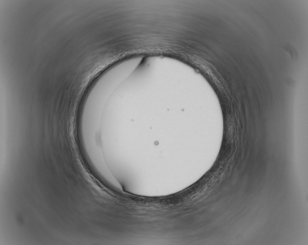X0000112400677200909251436
