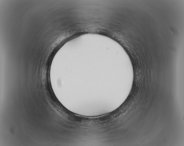 X0000112400679200909251436