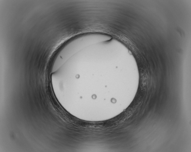 X0000112400680200909251436