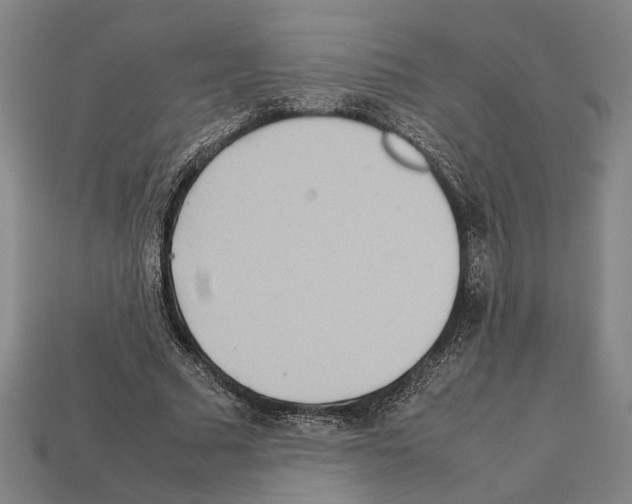 X0000112400681200909251436