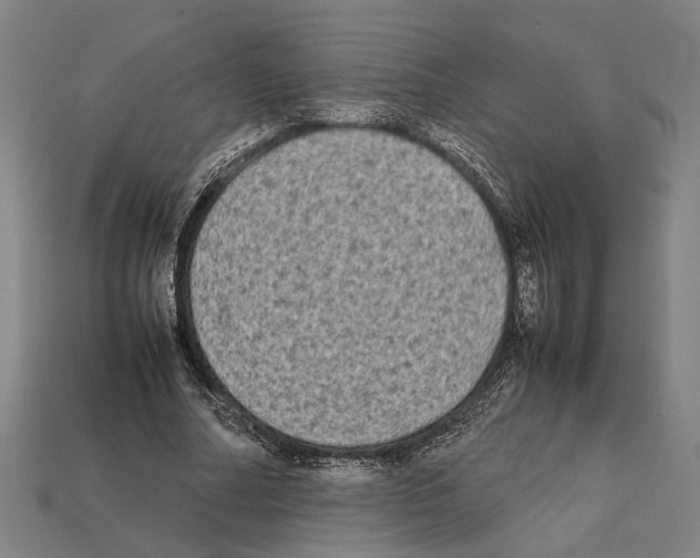 X0000112400682200909251436