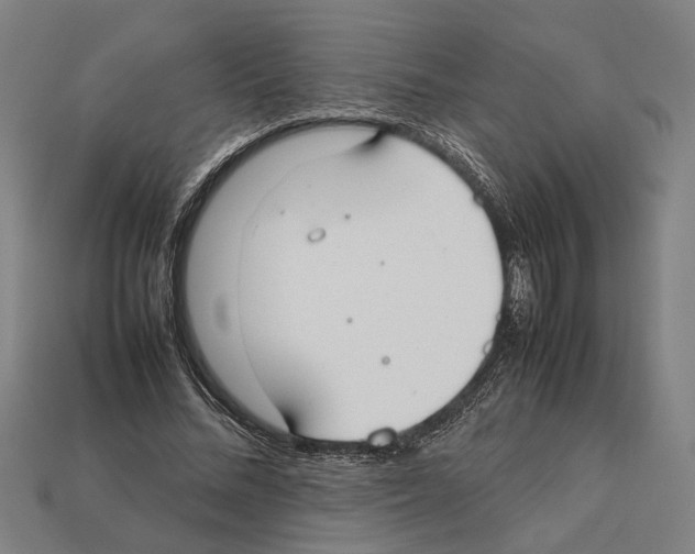 X0000112400684200909251436