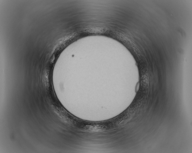 X0000112400688200909251436