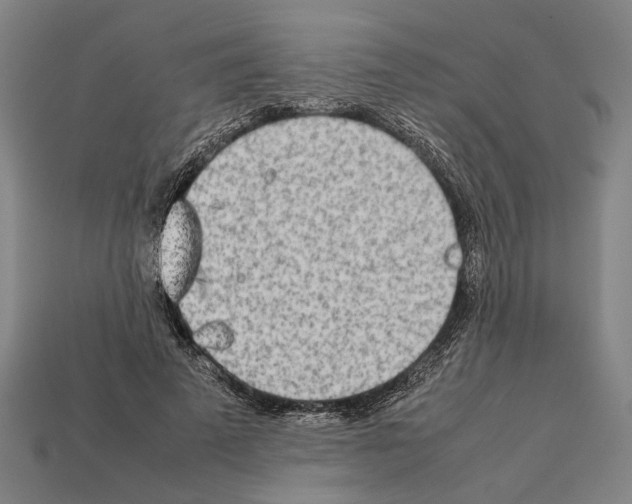 X0000112400689200909251436