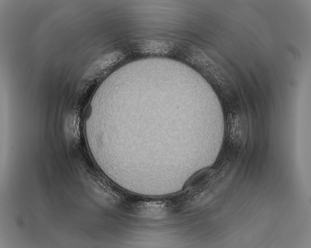 X0000112400692200909251436