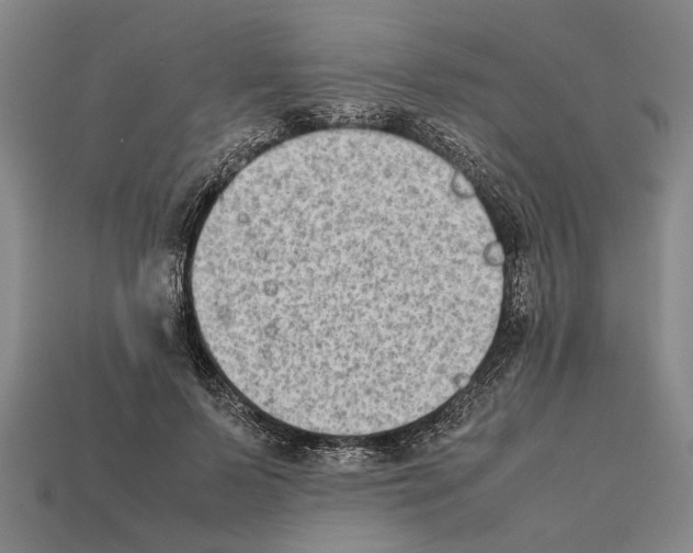 X0000112400695200909251436