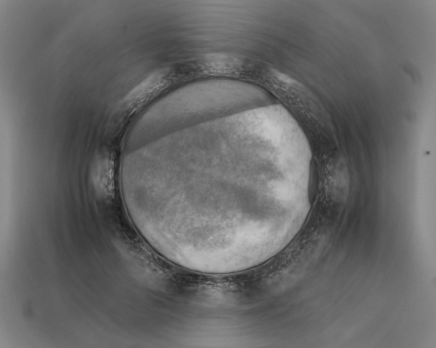 X0000112400696200909251436