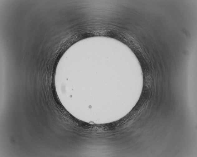 X0000112400697200909251436