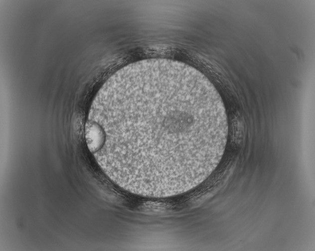 X0000112400699200909251436