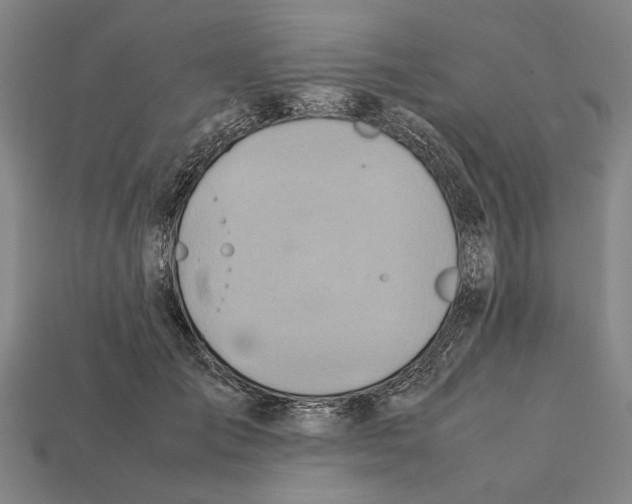 X0000112400701200909251436