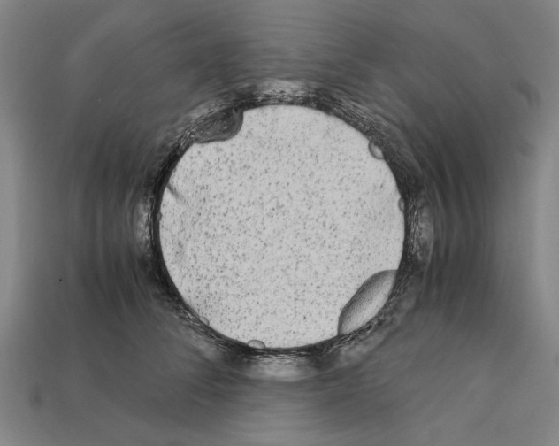 X0000112400708200909251436