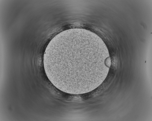 X0000112400715200909251436