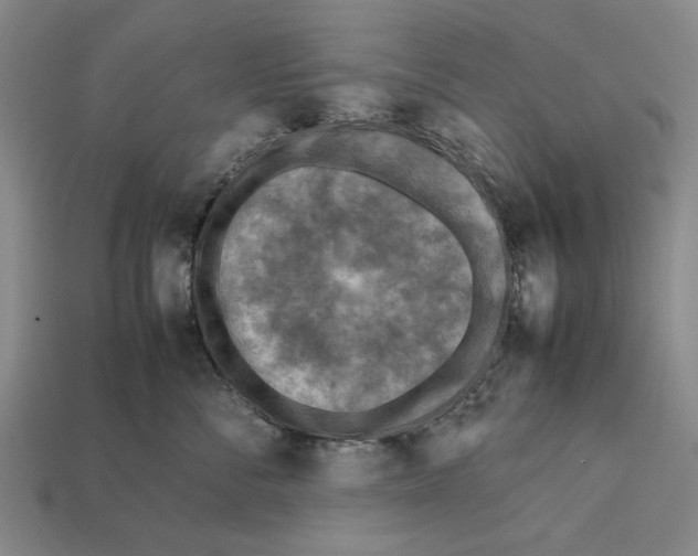 X0000112400716200909251436