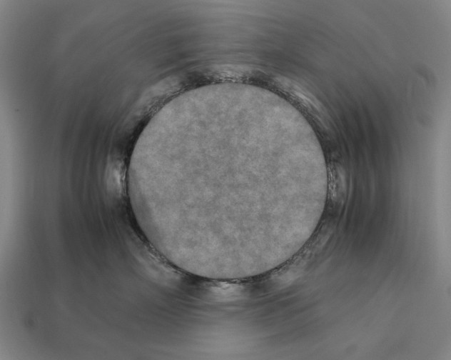 X0000112400718200909251436