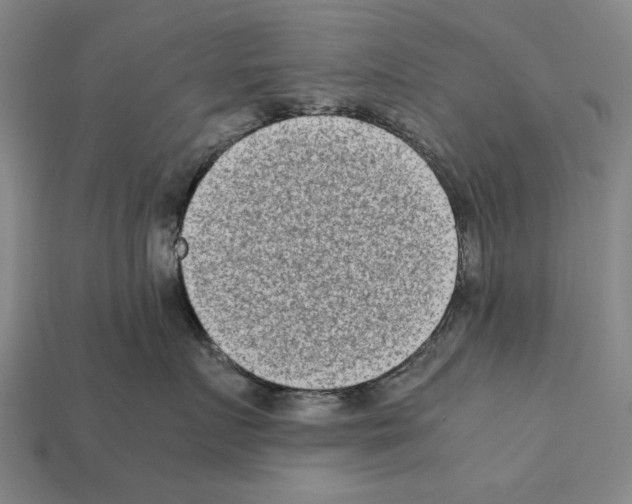 X0000112400719200909251436