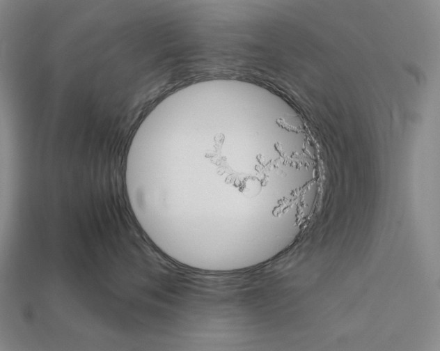 X0000112400720200909251436