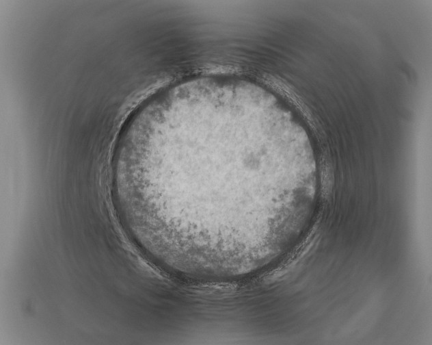 X0000112400721200909251435