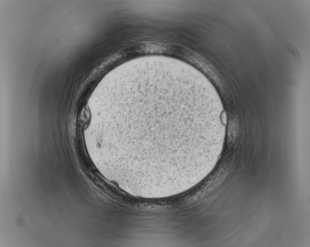 X0000112400722200909251435