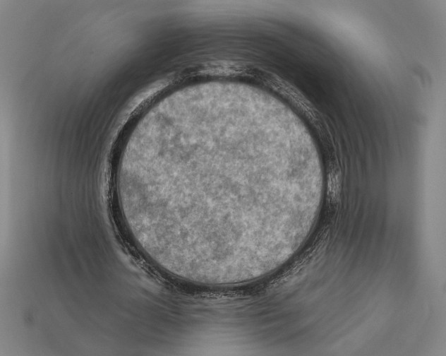 X0000112400724200909251435
