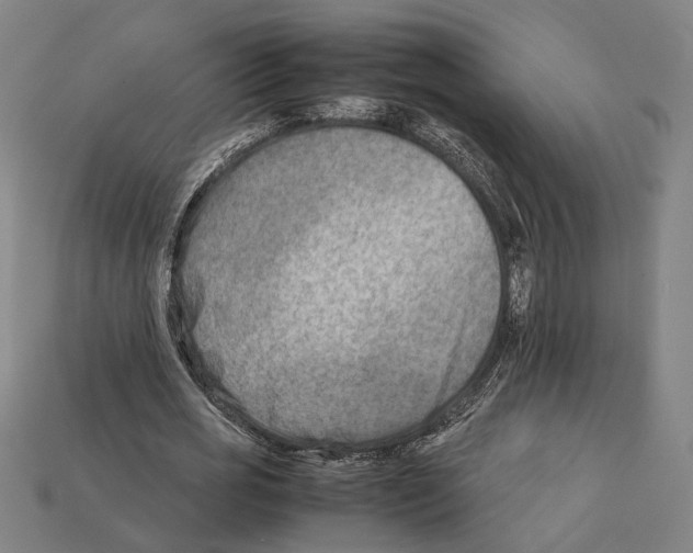 X0000112400725200909251435