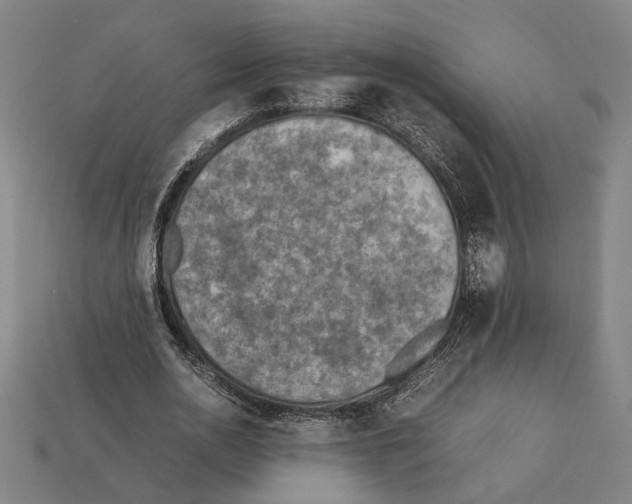 X0000112400726200909251435
