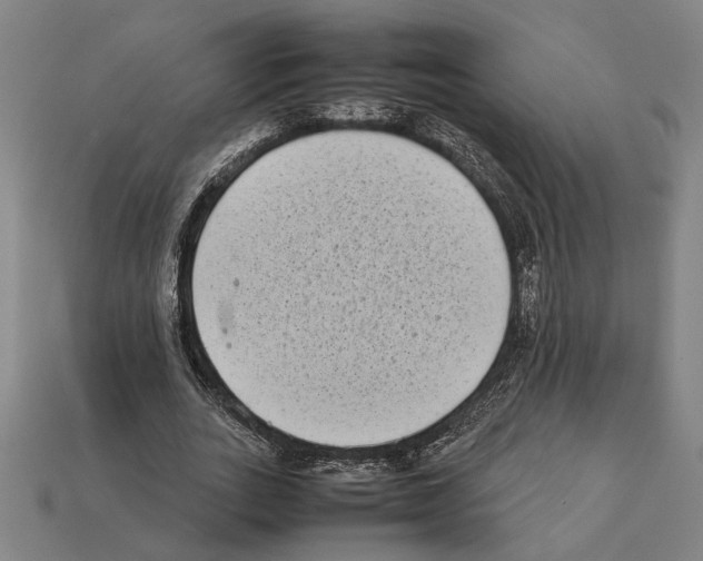 X0000112400727200909251435